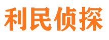 禅城市调查公司